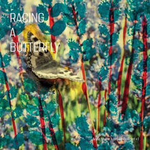 Mette Iversen Anne Quartet|1: Racing A Butterfly