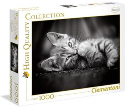 1000 pcs. High Quality Collection KITTY