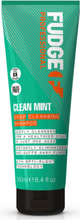 Clean Mint Purifying Shampoo Sjampo Nude Fudge*Betinget Tilbud