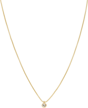 Sininaa Accessories Jewellery Necklaces Dainty Necklaces Gold Ted Baker