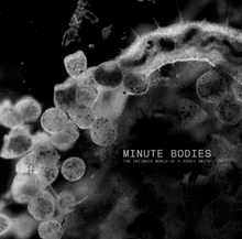 Tindersticks: Minute Bodies - The Intimate...