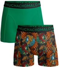 Muchachomalo 2P Cotton Stretch Rastafarian Boxer Grønn Mønster bomull Medium Herre