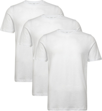 Bless 3 Pack T-shirts Short-sleeved Hvit Reiss*Betinget Tilbud