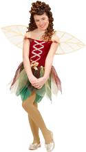 Fantasi Fe - Kostyme til Barn med Vinger - Strl