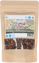 Organic Sprouting Pikanter mix 250g - GroÃÂpackung