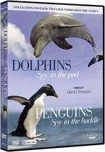 Penguins and Dolphins - The Spy Collection