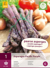 Asparagus Pacific Purple â" Spargel