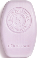 Aroma Gentle & Balance Solid Shampoo 60G Shampoo Nude L'Occitane
