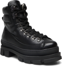 Logan Wool Shoes Boots Ankle Boots Laced Boots Black Pavement