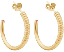 Gold Enamel Earring, Twisted Loop Øredobber