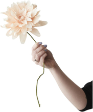 Paper Flower, Grand Dahlia Home Decoration Paper Flowers Beige Studio About*Betinget Tilbud