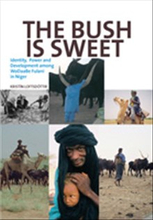 The Bush Is Sweet: Globalization, Identity and Power Among Wodaabe Fulani in Niger