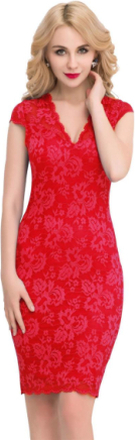 Slim Elegant Lace Half Sleeve Fashion Dress XL