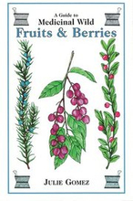Guide to Medicinal Wild Fruits and Berries
