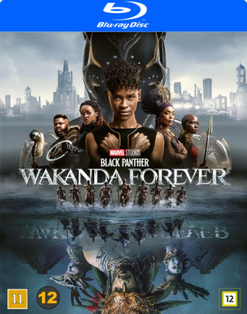 Black Panther 2 - Wakanda forever