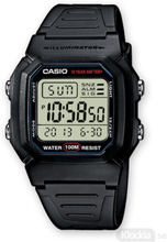 CASIO Collection 37mm