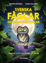 Svenska Fåglar- Ugglor Och Rovfåglar - Jämför Och Lär Känna 29 Arter