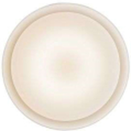 Prandina - Mint C4/W4 LED Decken-/Wandleuchte Opal