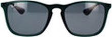 Ray-ban Sonnenbrillen Sonnenbrille Chris RB4187 666381 Polarisiert