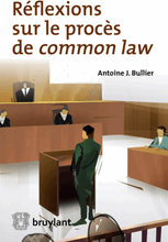 Réflexions sur le procès de common law