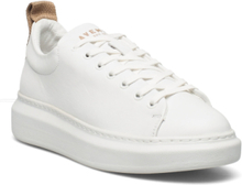 Dee Color Low-top Sneakers White Pavement