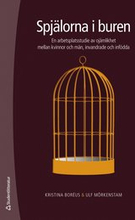 Spjälorna i buren : en arbetsplatsstudie av ojämlikhet mellan kvinnor och män, invandrade och infödd