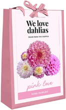 We Love Dahlias - Pink Love