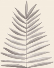Palm Leaf Ink Poster