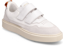 Apex Leather Shoe Low-top Sneakers White Sneaky Steve