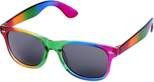 Regenboog zonnebril retro voor volwassenen
