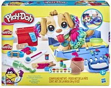 Play-Doh Playset Care "'n Carry Vet