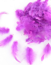 500 stk Små Lavendelfärgade Fjädrar 6-12 cm