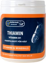 Eclipse Biofarmab Thiamin - 250 g