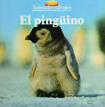 El pingüino