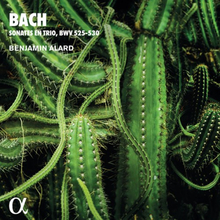 Bach: Trio Sonatas For Organ Bww 525-530