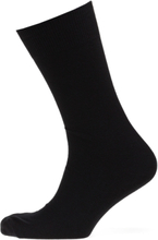 Claudio Socks Solid Colours Underwear Socks Regular Socks Black Claudio