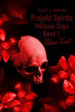 Projekt Spirits - Millenia Saga Band 1