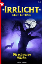Irrlicht - Neue Edition 3 – Mystikroman