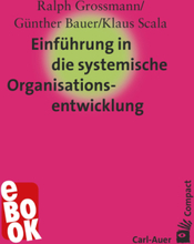 Einführung in die systemische Organisationsentwicklung