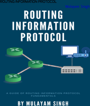 ROUTING INFORMATION PROTOCOL
