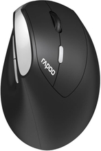 RAPOO Mouse EV250 2.4 GHz Wireless Optical Black