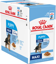 Våtfoder Royal Canin Maxi Puppy 10x140g