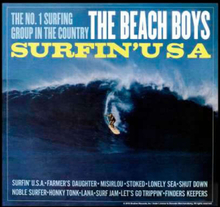 The Beach Boys Surfin USA Herren T-Shirt - Schwarz - 3XL