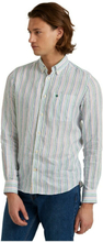 Theodore Stripe Shirt