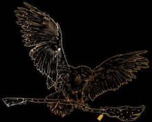 Harry Potter Hedwig Broom Gold Men's T-Shirt - Black - 3XL