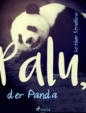 Palu, der Panda