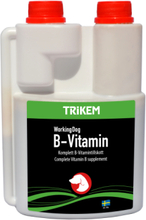 TRiKEM B-vitamin till Hund