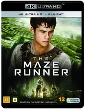 The Maze Runner (4K Ultra HD + Blu-ray)