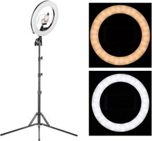 10 Inch LED Ring Light Studio Video Lamp Dimmable 3200-5500K