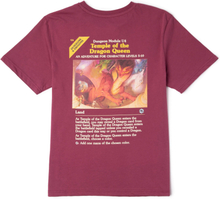 Dungeons & Dragons Temple Of The Dragon Queen Unisex T-Shirt - Burgundy - XS